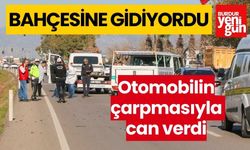 Bahçesine gitmek isterken otomobilin çarpmasıyla can verdi