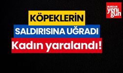 Köpeklerin saldırısına uğrayan kadın yaralandı