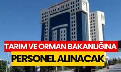 Tarım ve Orman Bakanlığına personel alımı yapılacak