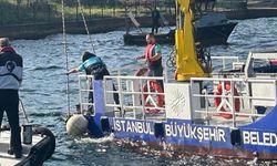 İstanbul'da kaçak midye avlayan 4 kişiye toplam 105 bin lira para cezası