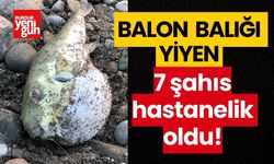 Balon balığı yiyen 7 şahıs hastanelik oldu