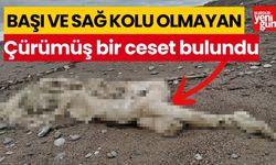 Başı ve sağ kolu olmayan çürümüş bir ceset bulundu