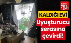 Kaldığı evi uyuşturucu serasına çevirdi