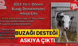 Buzağı Desteklemeleri Askıya Çıktı