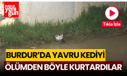 Burdur'da Yavru Kediyi Ölümden Böyle Kurtardılar!