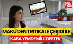 MAKÜ'DEN TRİTİKALE ÇEŞİDİ İLE KABA YEMDE MİLLİ DESTEK