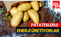 Patatesten Enerji Üretiyorlar