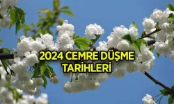 2024 Cemre Düşme Tarihleri Nedir? Cemre ne zaman düşecek?