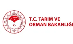 TARIM VE ORMAN BAKANLIĞI PERSONEL BAŞVURU: Tarım Bakanlığı 1500 personel alımı başvuru İŞKUR ekranı 2024!