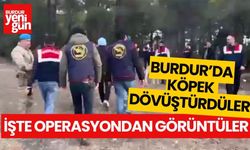 Burdur'da köpek dövüştürenlere operasyon! İşte o görüntüler