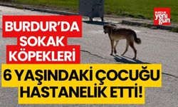 Burdur'da sokak köpeklerinin saldırdığı çocuk hastanelik oldu