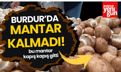 Burdur'da Mantar Kalmadı! Kapış Kapış Gitti