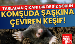 Komşuda Şaşkına Çeviren Keşif! Tarladan Çıkanı Bir de Siz Görün