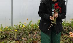 Genç kadın çiftçi aldığı destekle ailesinin çiçek serasını büyüttü