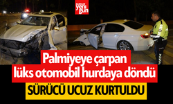 Palmiyeye çarpan lüks otomobil hurdaya döndü