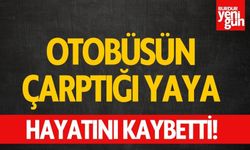 Otobüsünün çarptığı yaya olay yerinde hayatını kaybetti