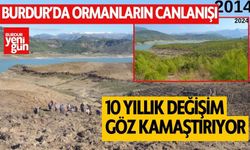 Burdur'da Ormanların Canlanışı: 10 Yıllık Değişim Göz Kamaştırıyor