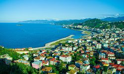 Giresun'da 21 Mart Dünya Ormancılık Günü ve Orman Haftası kutlandı