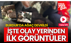 Burdur'da Ağaç Devrildi: İşte Olay Yerinin Görüntüleri