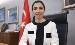 Gaye Erkan'ın istifasının arkasında yüksek faiz kararı mı var? İletişim Başkanlığı iddiaya sessiz kalmadı