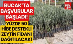 Bucak’ta yüzde 50 hibe destekli zeytin fidanı dağıtılacak