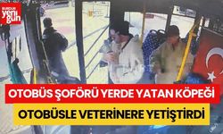 Otobüs Şoförü Yerde Yatan Köpeği Otobüsle Veterinere Yetiştirdi