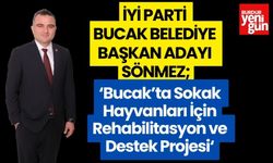 Bucak’ta Sokak Hayvanları İçin Rehabilitasyon ve Destek Projesi