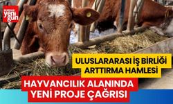 Uluslararası İş Birliği Arttırma Hamlesi: Hayvancılık Alanında Yeni Proje Çağrısı