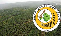 Orman Genel Müdürlüğü 64 İşçi Alımı Yapacak