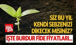 Siz Kendi Sebzenizi Dikecek misiniz? İşte Burdur Fide Fiyatları...