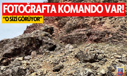 Jandarmadan komando paylaşımı: O sizi görüyor