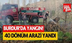 Burdur'da otluk ve kavaklık alanda yangın