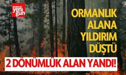 Ormanlık Alana Yıldırım Düştü: 2 Dönümlük Alan Yandı!