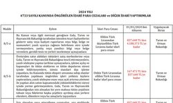 2024 Yılı Ticari Faaliyetler İçin Yeni Ceza Tarifesi Açıklandı!