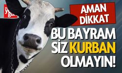 Aman Dikkat Bu Bayram Siz Kurban Olmayın