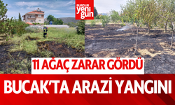 Bucak'ta arazi yangını söndürüldü: 11 ağaç zarar gördü
