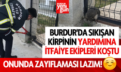 Burdur'da sıkışan kirpinin yardımına itfaiye ekipleri koştu