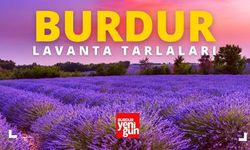 Burdur'daki Lavanta Tarlalarını Gezmek: Doğanın Renkli Büyüsüne Kapılın!