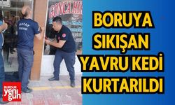 Boruya sıkışan yavru kedi, itfaiye ekipleri tarafından kurtarıldı