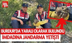 Burdur'da yaralı olarak bulundu! İmdadına jandarma yetişti