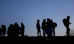 Osmaniye'de 13 düzensiz göçmen yakalandı, 3 göçmen kaçakçısı tutuklandı