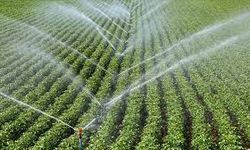 Trakya'da 2040'a kadar tarımda su ihtiyacının yüzde 10 ila 15 artabileceği belirlendi