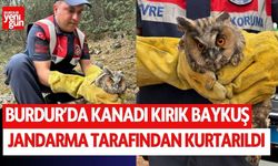 Burdur'da kanadı kırık baykuşu jandarma kurtardı