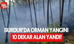 Burdur'da çıkan orman yangınında 10 dekar alan yandı