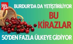 Bu kirazlar Burdur'da yetişiyor! 50'den fazla ülkeye gidiyor