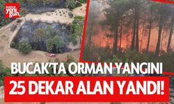 Bucak'ta orman yangını! 25 dekar alan yandı