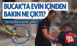 Bucak'ta Evin İçinden Bakın Ne Çıktı? Sen buralara nerden geldin?