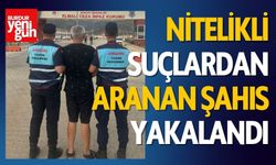 Nitelikli Suçlardan Aranan Şahıs  Yakalandı!