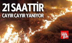 Denizli'de Yıldırım Kabusu: 21 Saattir Cayır Cayır Yanıyor