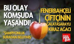 Fenerbahçeli Adamdan İlginç Çıkış: "Beslediğim Ağaç Galatasaraylı Çıktı"